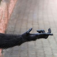 American Lyric Theater Returns To Live Performances With THE OPPOSABLE THUMB