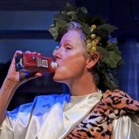 HURRICANE DIANE Extends Through August 14 at Chicago's Theater Wit