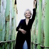 Karen Mason to Bring KANDER & EBB AND & ALL THAT JAZZ! to The Bradstan Cabaret Fest