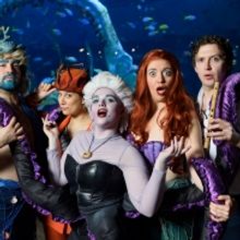 Photo Flash: The Cast of Birmingham Hippodromes UNFORTUNATE Goes Shark Diving at Bear