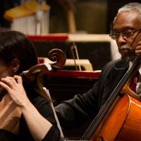 St. Louis Symphony Orchestra Launches Virtual Concert Series