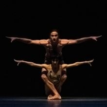 Houston Ballet Principal Ian Casady Retires After 22 Years And Becomes Ballet Master