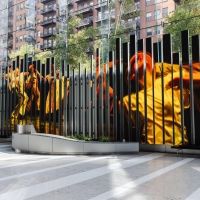 Chicago Black Dance Legacy Project & 150 Media Stream Present COLOR IN MOTION An Acti Interview
