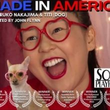 MADE IN AMERICA Is Coming To Soho Playhouse Next Month