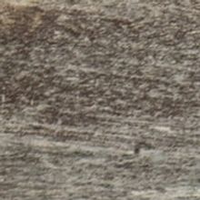 MarshStream Offers Vivid Tales: Living Without Food, Mistaken Celebrity, More