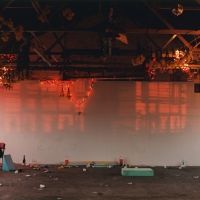 ​​​​​​​The Museum of Modern Art Presents WOLFGANG TILLMANS: TO LOOK WITHOUT FEAR