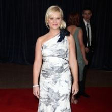 Amy Poehler's THE MOTHER-IN-LAW Gets NBC Pilot Commitment