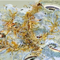 Frist Art Museum Presents MATTHEW RITCHIE: A GARDEN IN THE FLOOD