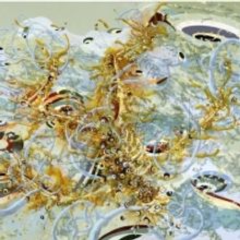 Frist Art Museum Presents MATTHEW RITCHIE: A GARDEN IN THE FLOOD