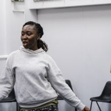 Rehearsals Underway For THE COMEDY OF ERRORS at Shakespeare North Playhouse and Steph