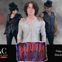 Naples Performing Arts Center Presents PIPPIN Next Month