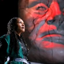 Photo Flash: First Look at JULIUS CAESAR at PlayMakers