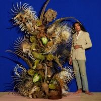 Art Is In Bloom At Museum of Arts and Design With Flower Craft Exhibition, Power…