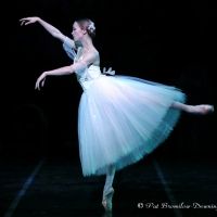 Photo Flash: Roma City Ballet Company Luciano Cannito Presenta SCHIACCIANOCI