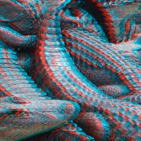 ALLIGATOR-A-PHOBIA IN 3D! Announced At Boston Playwrights' Theatre