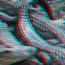 ALLIGATOR-A-PHOBIA IN 3D! Announced At Boston Playwrights' Theatre