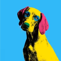 Casting Announced For DOG SHOW at The Pleasance This Christmas