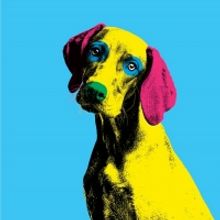 Casting Announced For DOG SHOW at The Pleasance This Christmas