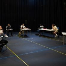 Northern Broadsides' BEYOND THESE WALLS WILL Present Tennessee Williams Works This Mo