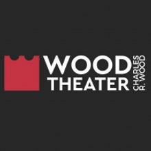 Chuck Schumer Promotes 'Save Our Stages' at the Wood Theater in Glens Falls