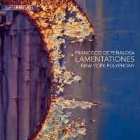 New York Polyphony Releases LAMENTATIONES, Feat. Lost Works By Francisco Penalosa