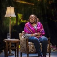BWW Review: UNTIL THE FLOOD Explores Community Turmoil Following the Fatal Shooting…