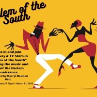 Stage Aurora Theatrical Company To Present HARLEM OF THE SOUTH, A Virtual Production