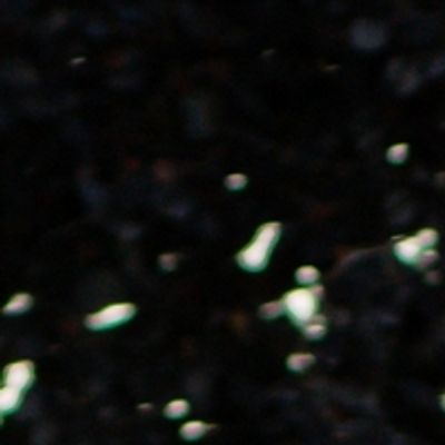 Photo Flash: First Look at Magis Theatre Company's THE ALCESTIAD