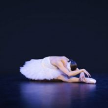 SWAN LAKE Will Be Performed by the Royal New Zealand Ballet in 2022