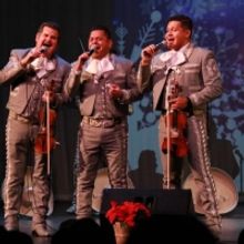 C.A.L.L.E. de Arizona Presents the 23rd Annual Mariachi and Folklórico Festival This