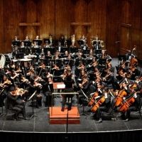 New Jersey Youth Symphony Ends Season With Saint-Saëns' Organ Symphony Interview