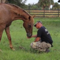 Gravitas Ventures Acquires Doc MUSTANG SAVIORS For February Release  
