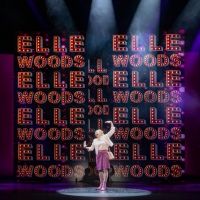 LEGALLY BLONDE - THE MUSICAL Plays Buddy Holly Hall In March