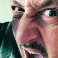 New Theatre Presents THE REMOVALISTS