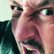 New Theatre Presents THE REMOVALISTS