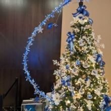 Boyd Gaming Announces Fifth Annual 'Trees Of Hope' Results