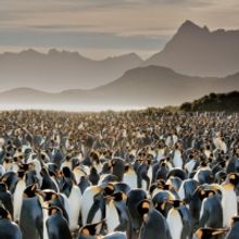 National Geographic's RARELY SEEN Exhibition Will Open At Bally's Las Vegas