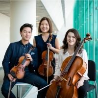 The Vision Collective is Named the Recipient Of 2020 Robert Sherman Award