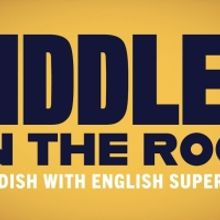 FIDDLER ON THE ROOF IN YIDDISH Announces Additional Casting