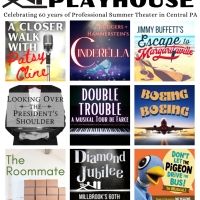 The Millbrook Playhouse's 60th Season Opens Curtains on a New Era for the Diamond…