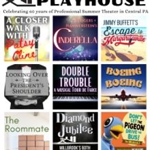 The Millbrook Playhouse's 60th Season Opens Curtains on a New Era for the Diamond Ann