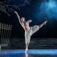 Photo Flash: First Look at Matthew Bourne's SWAN LAKE at the Ahmanson