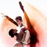 International Young Patrons Gala Returns in June