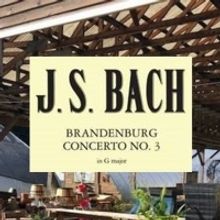 Midcoast Symphony Orchestra Will Hold Open Rehearsal