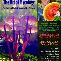 The Art of Mycology: Mushroom Photographs by Meg Madden Comes to the Jackson Gallery…