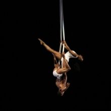 Dallas Black Dance Theatre Performs at Skopje Dance Festival In North Macedonia