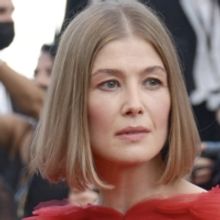 New Movie RICH FLU Set to Star Rosamund Pike