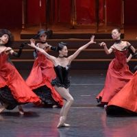 New National Theatre Tokyo Makes Changes to Programme, Conductor, and Ticket Sales…