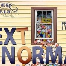 NEXT TO NORMAL is Now Playing at Playhouse 615