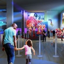 Costumes From FROZEN, WICKED, DEAR EVAN HANSEN, and Many More Will Be Displayed in Ne